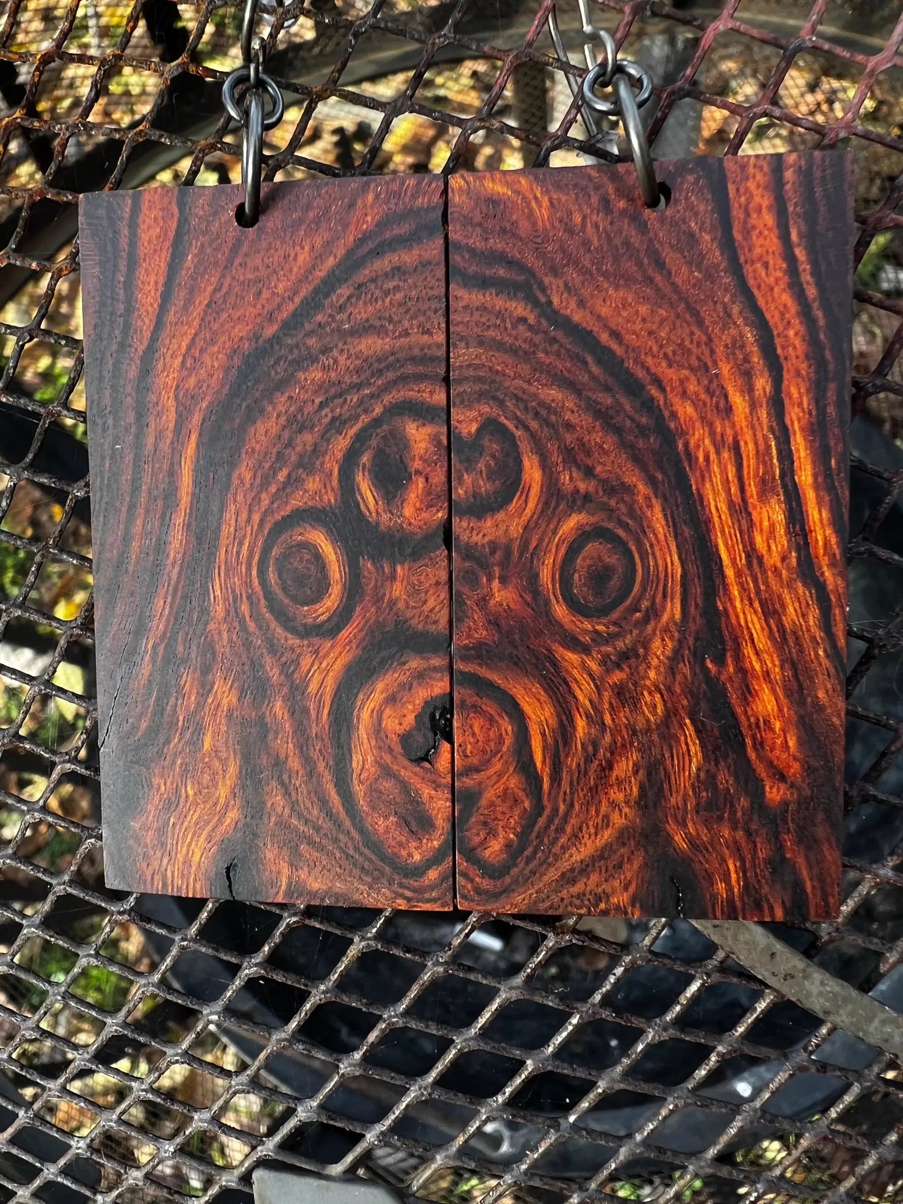 Desert Ironwood Burl Earrings - Ronin Machinewerks Exotic Wood Jewelry