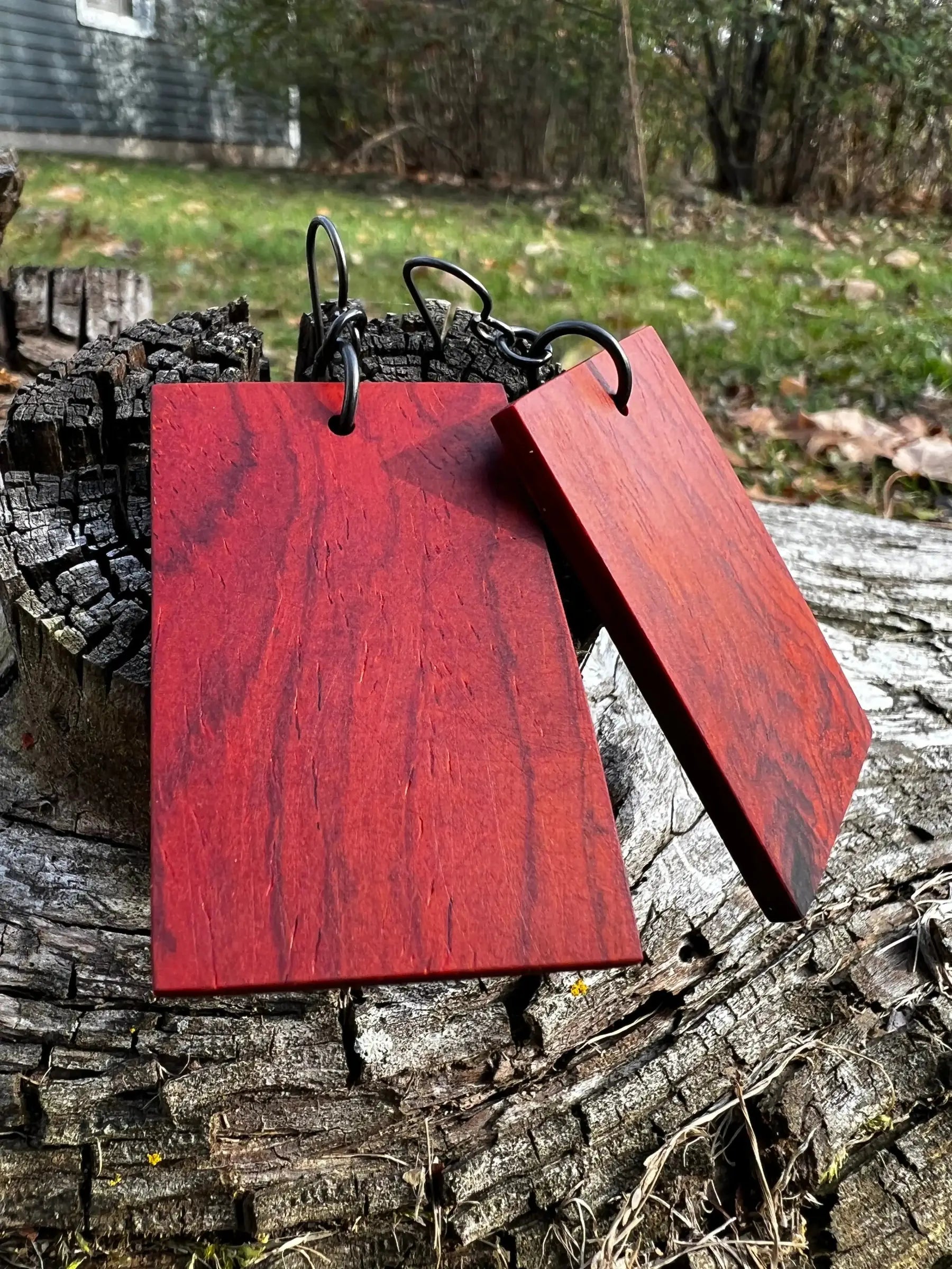 Cocobolo Wood Earrings | Medium | #205
