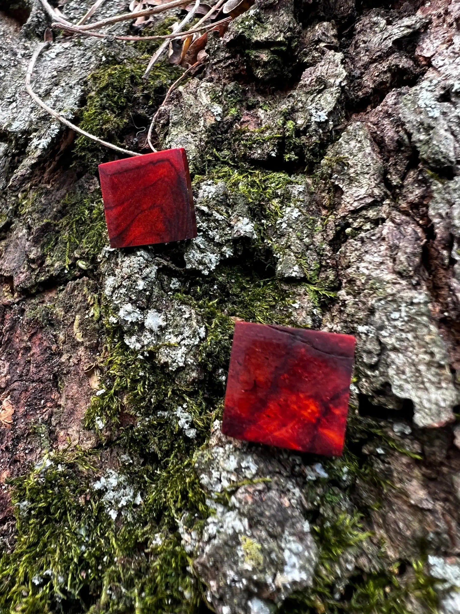 Cocobolo Stud Earrings | XS