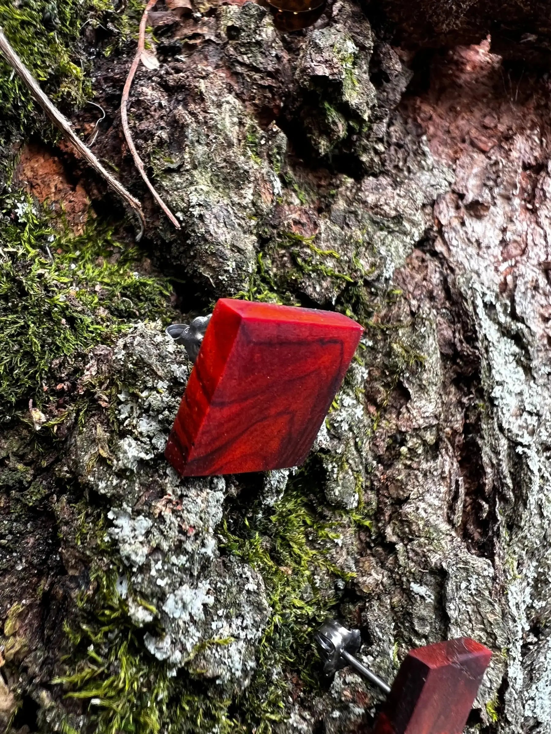 Cocobolo Stud Earrings | XS
