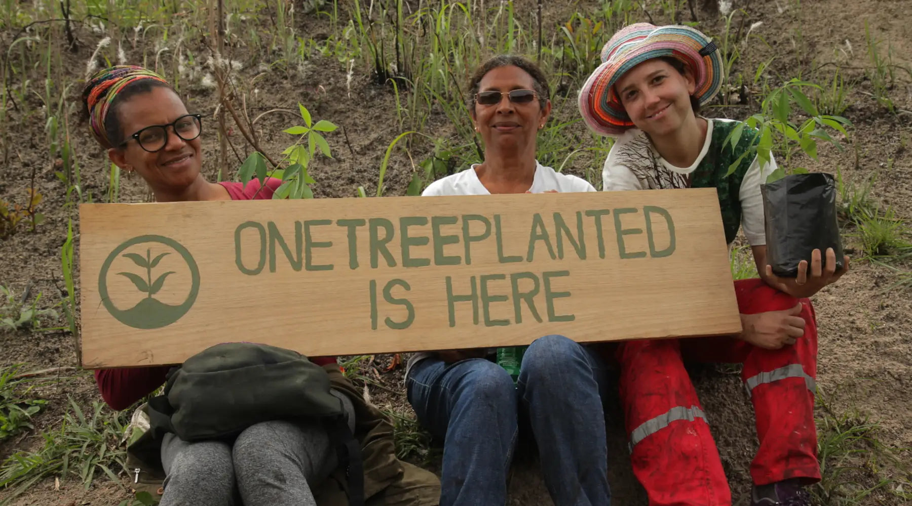 In Partnership with OneTreePlanted