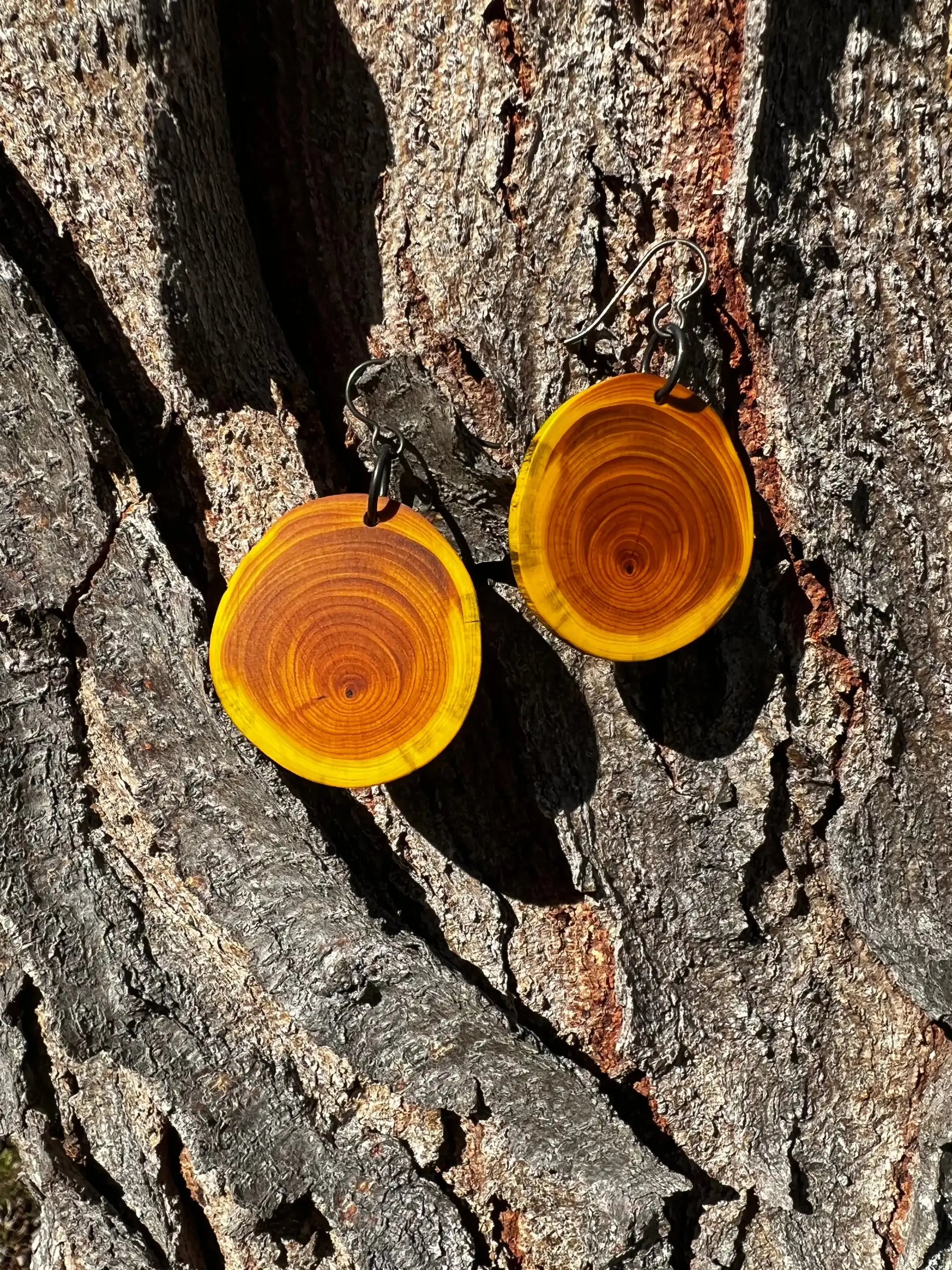 Dyed Yew Earrings (Yellow) | Medium