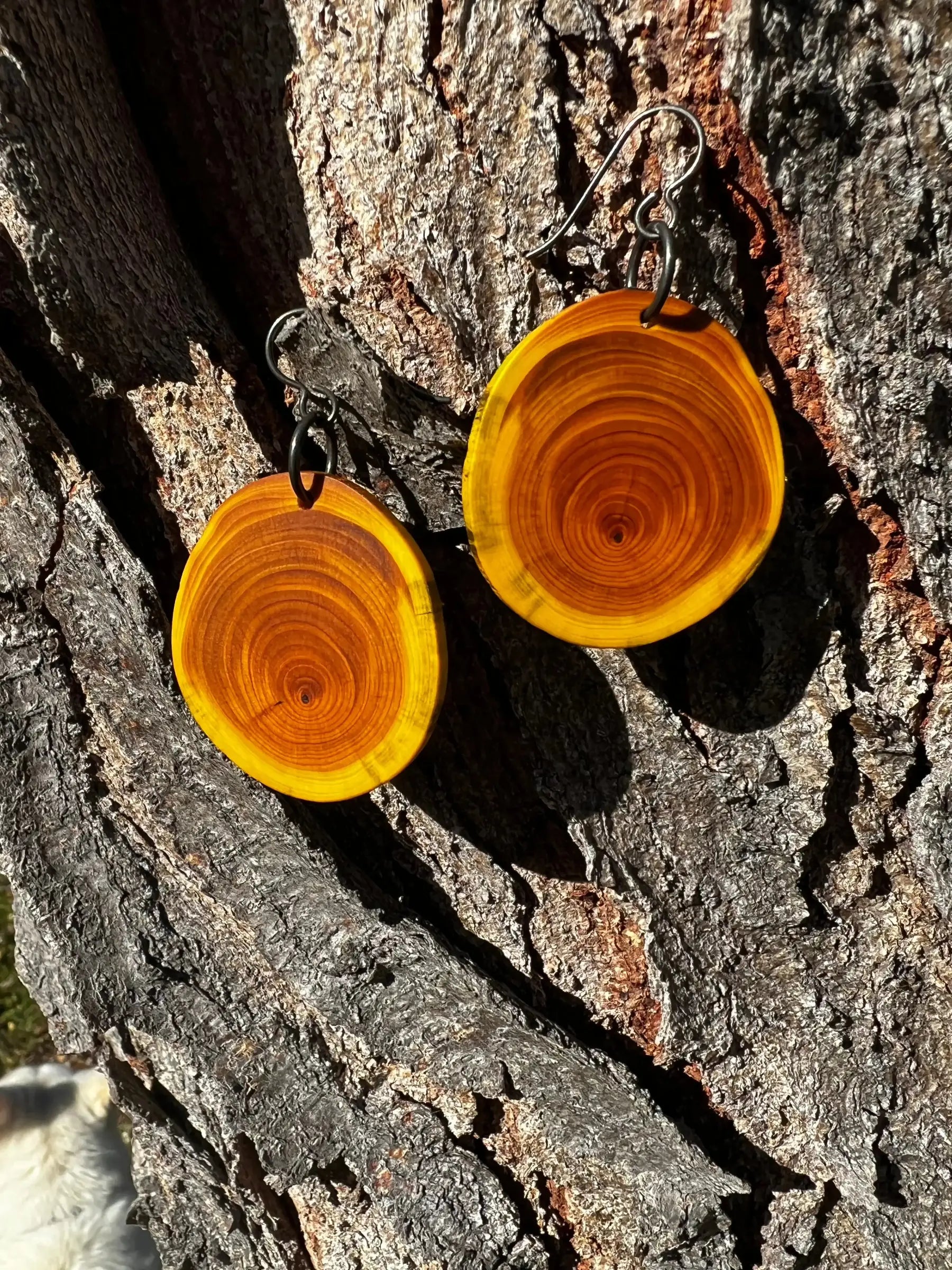 Dyed Yew Earrings (Yellow) | Medium