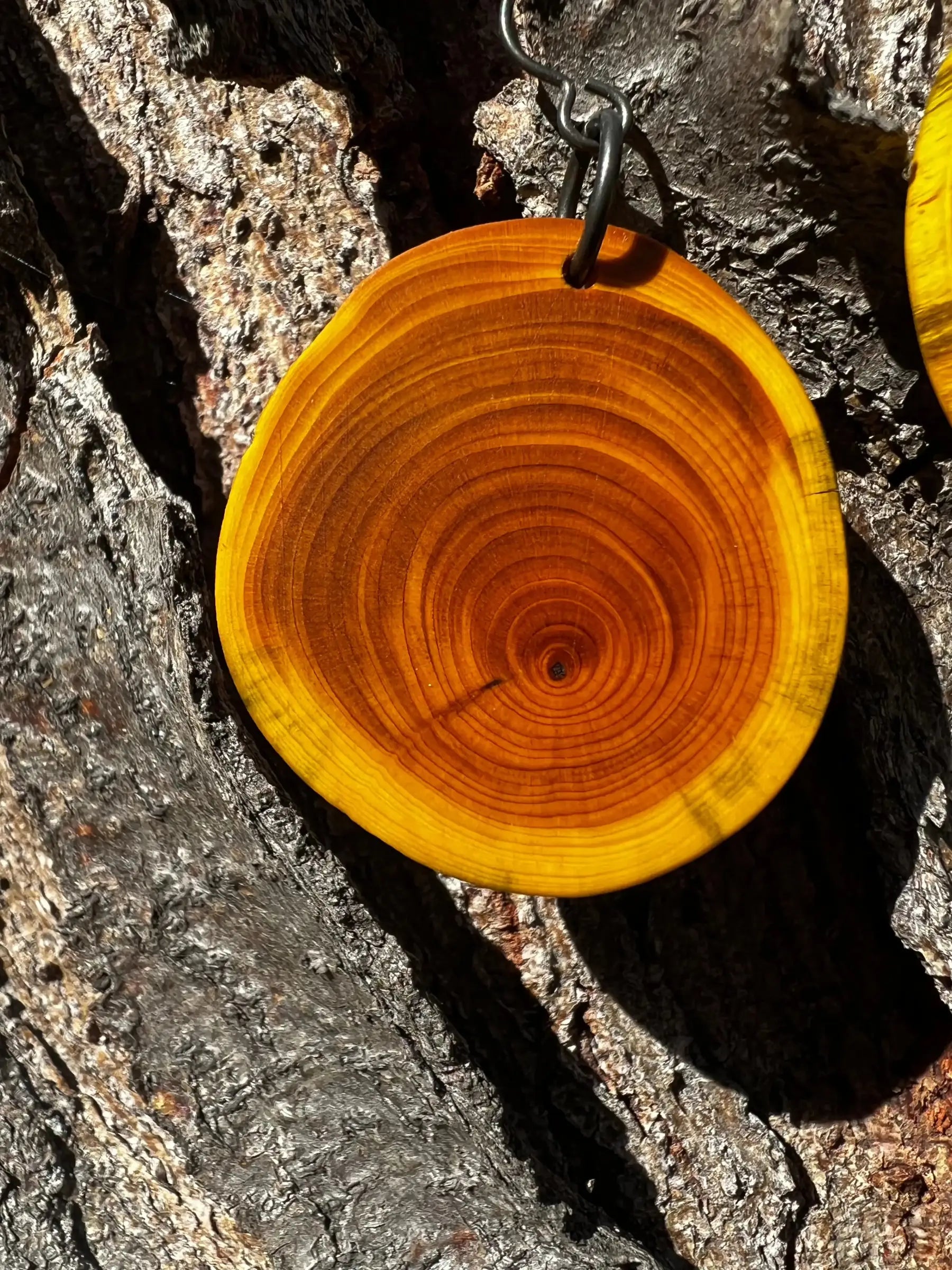 Dyed Yew Earrings (Yellow) | Medium