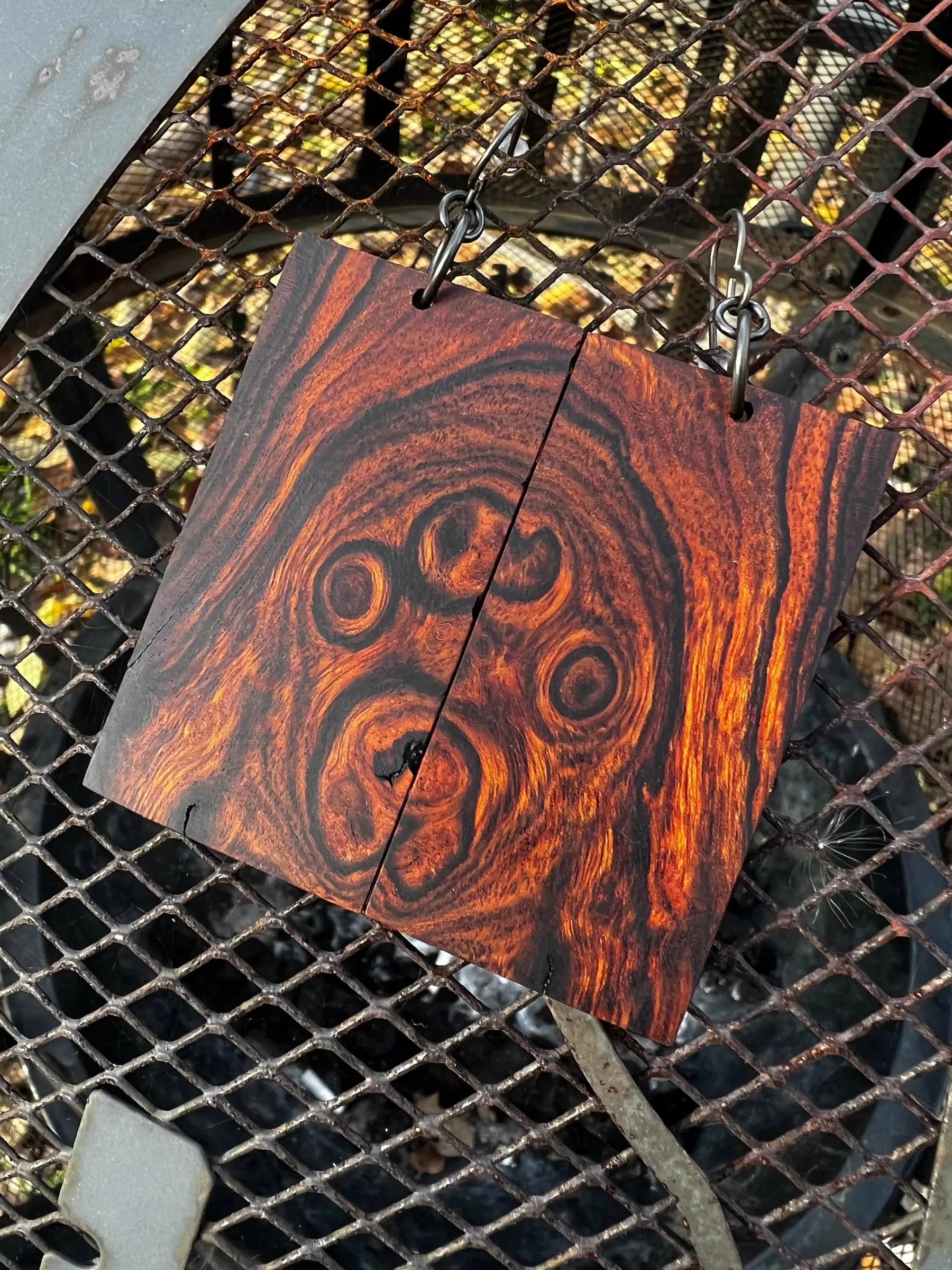 Desert Ironwood Burl Earrings - Ronin Machinewerks Exotic Wood Jewelry