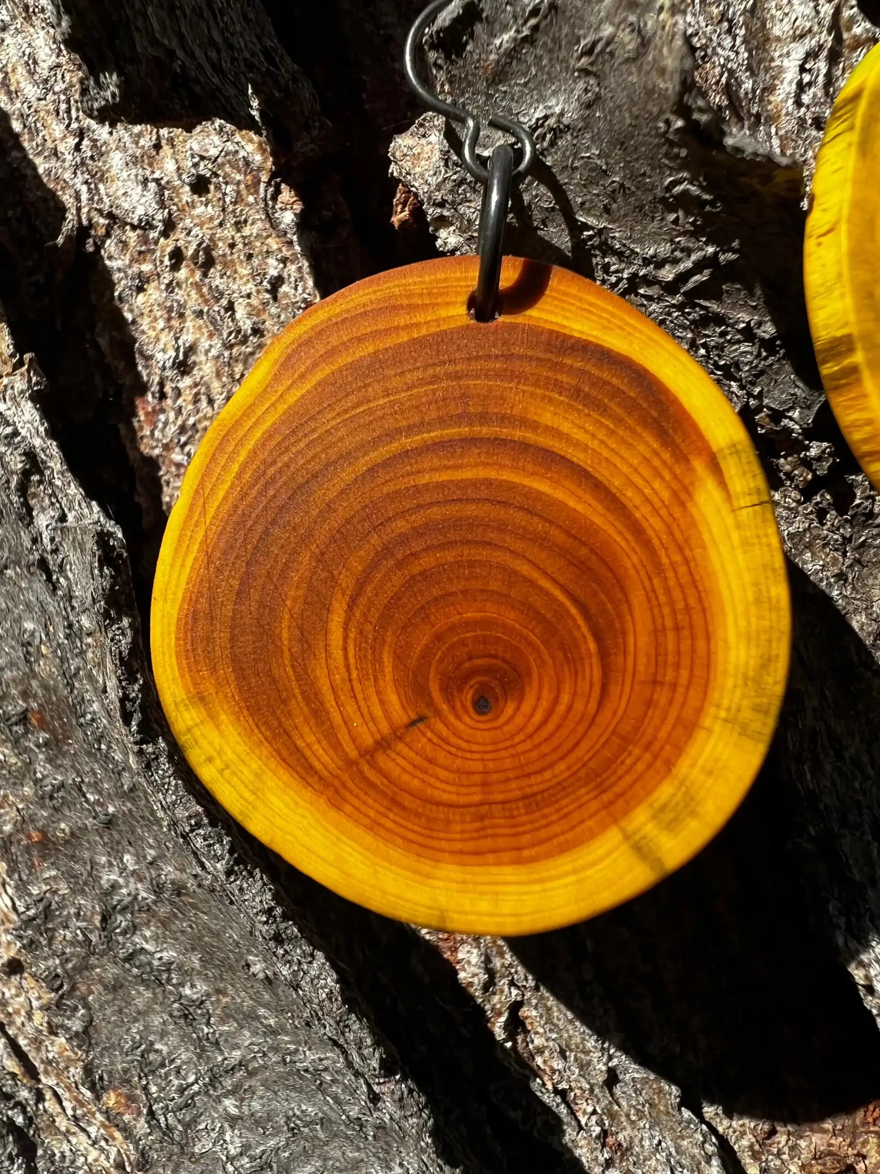 Dyed Yew Earrings (Yellow) | Medium