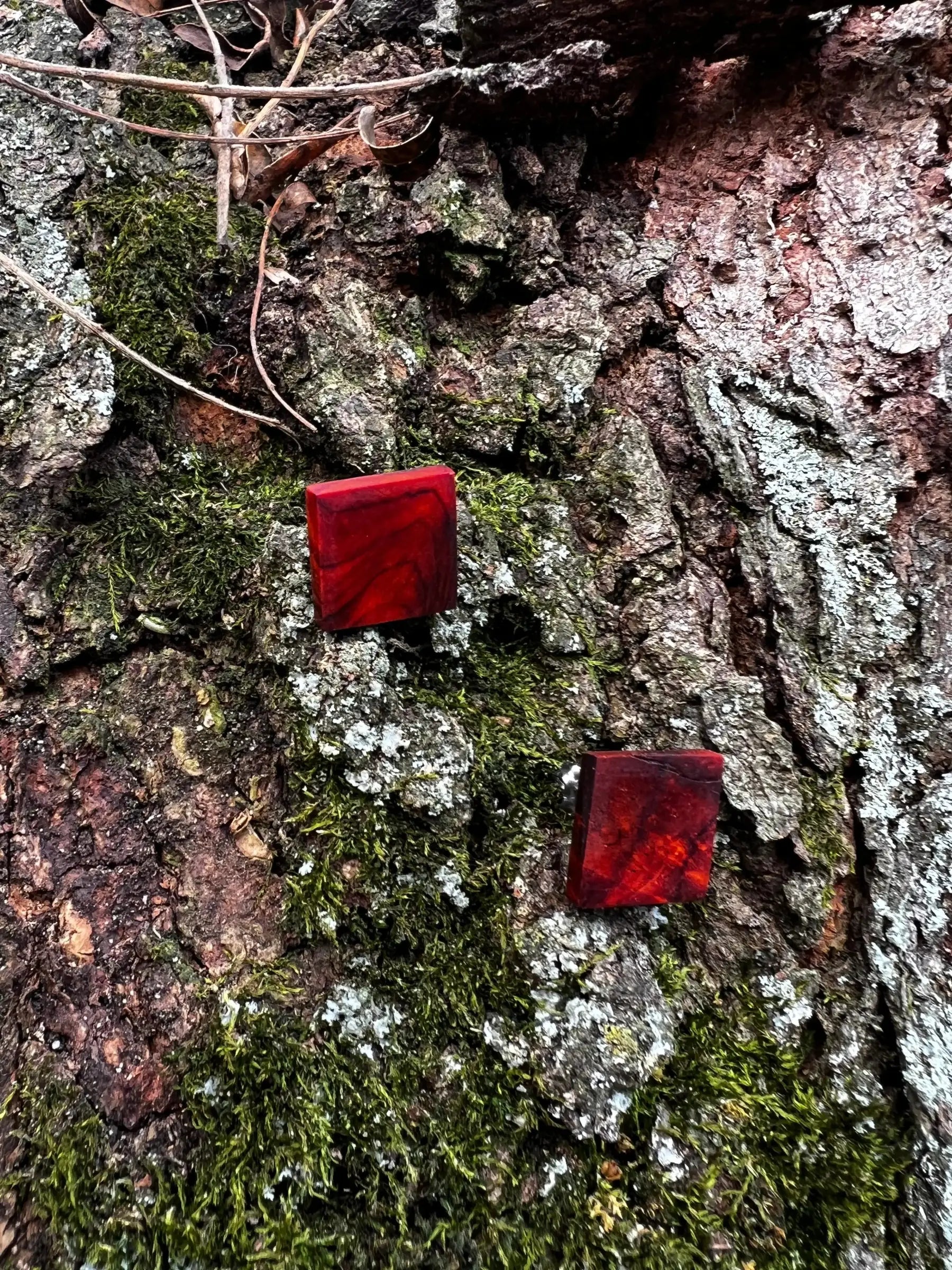 Cocobolo Stud Earrings | XS