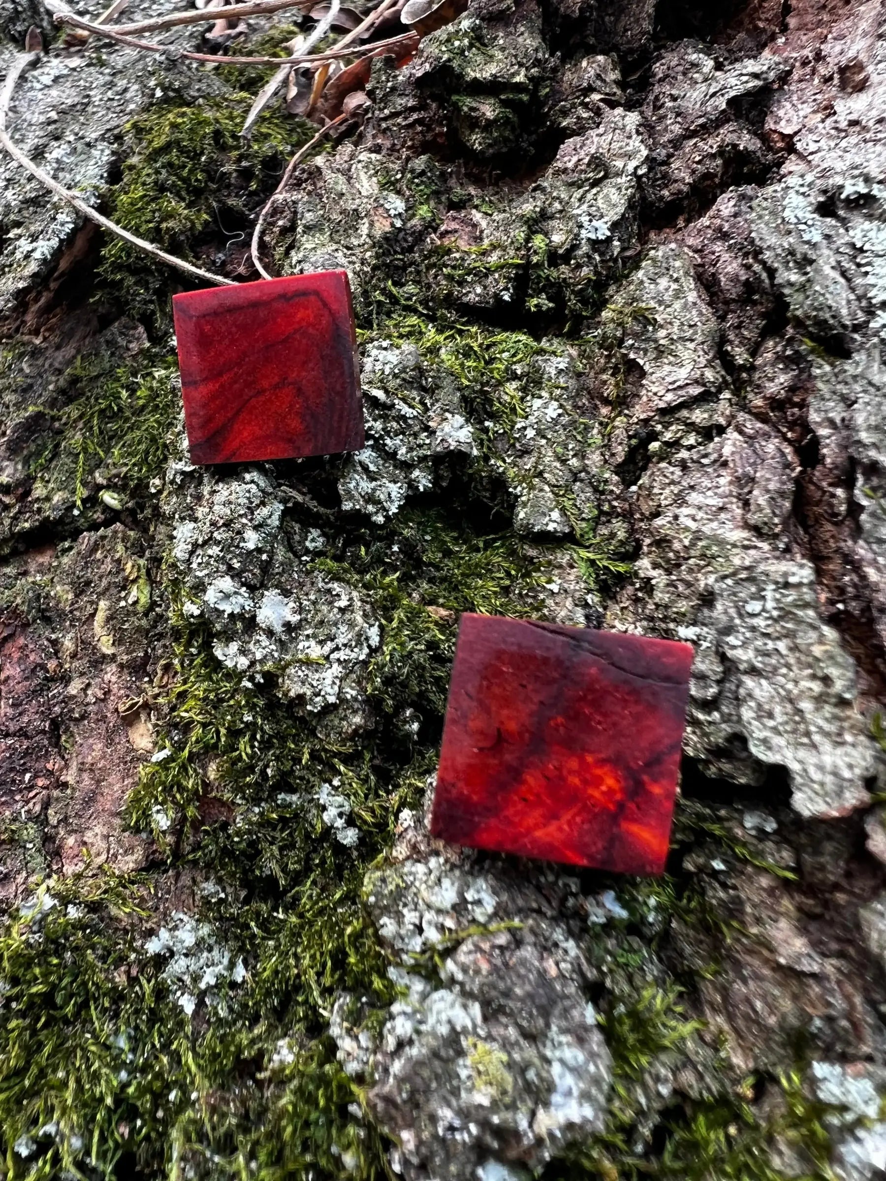 Cocobolo Stud Earrings | XS