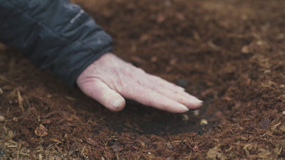 One Tree Planted | Support Global Reforestation | Ronin Machinewerks